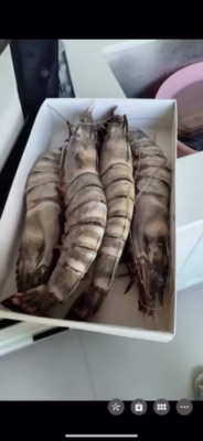 Colossal Black Tiger Prawns photo review