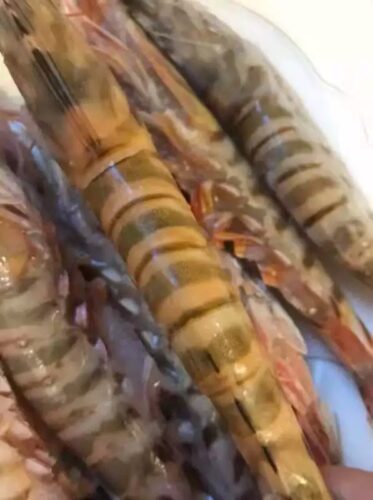 Colossal Black Tiger Prawns photo review